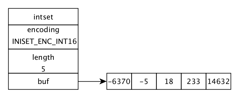 intset结构